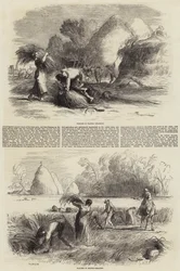Agricoltura in Francia